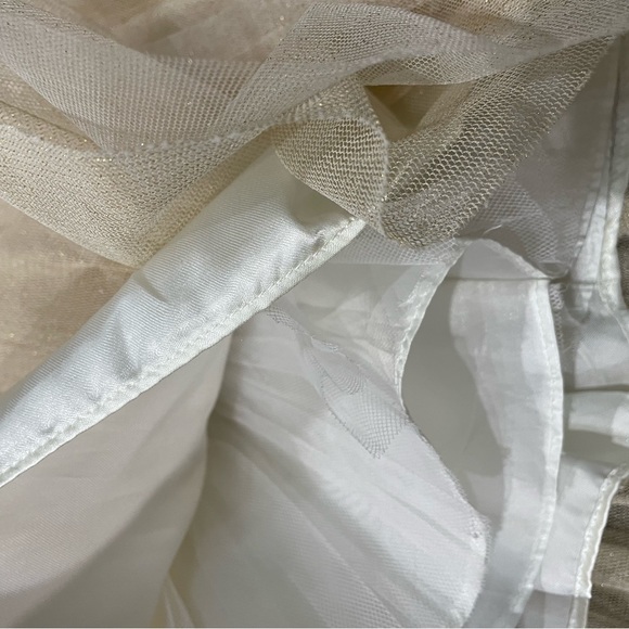 Youngland Girls tulle and gold dress size 3t - Picture 6 of 11